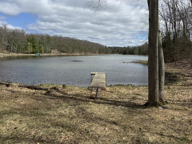 view of water feature with a forest view