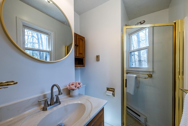 2532 Ridgewood Trl, Berrien Springs, MI 49103 - bathroom with a baseboard radiator, a shower stall, vanity, and a healthy amount of sunlight