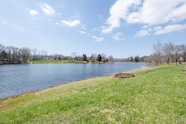 2532 Ridgewood Trl, Berrien Springs, MI 49103 - view of water feature