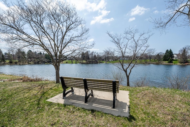 2532 Ridgewood Trl, Berrien Springs, MI 49103 - view of property's community with a water view