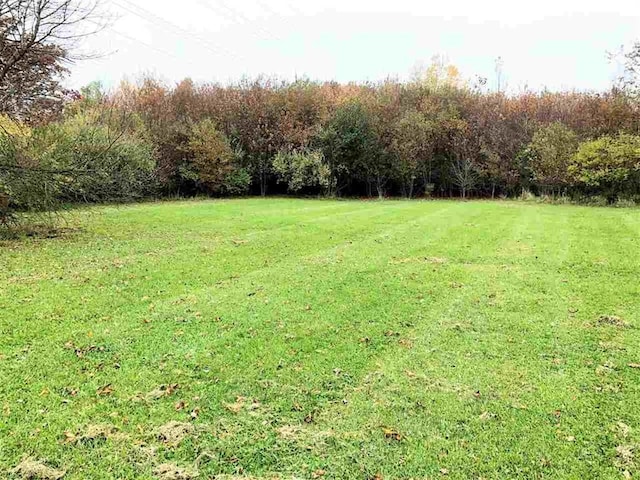 view of green lawn