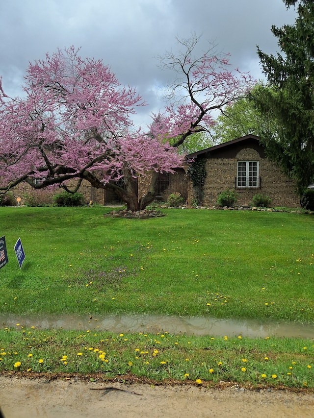 view of front of property featuring a front lawn