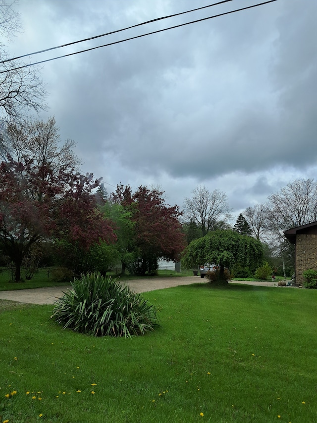 view of grassy yard
