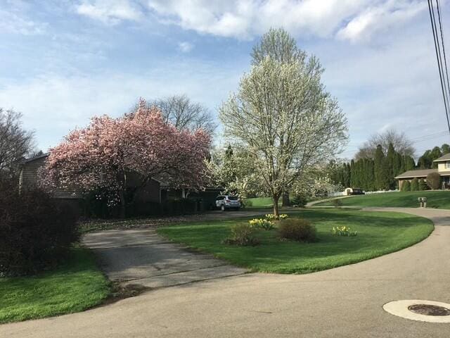 surrounding community featuring a yard and driveway