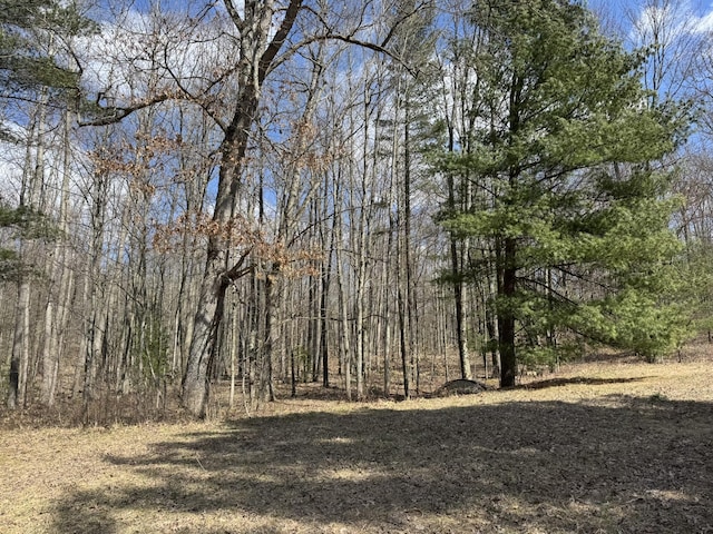view of nature with a forest view