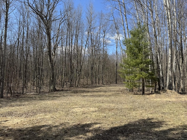 view of local wilderness featuring a wooded view