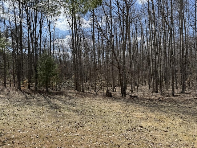view of local wilderness