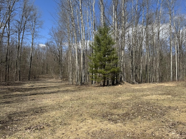 view of local wilderness featuring a forest view