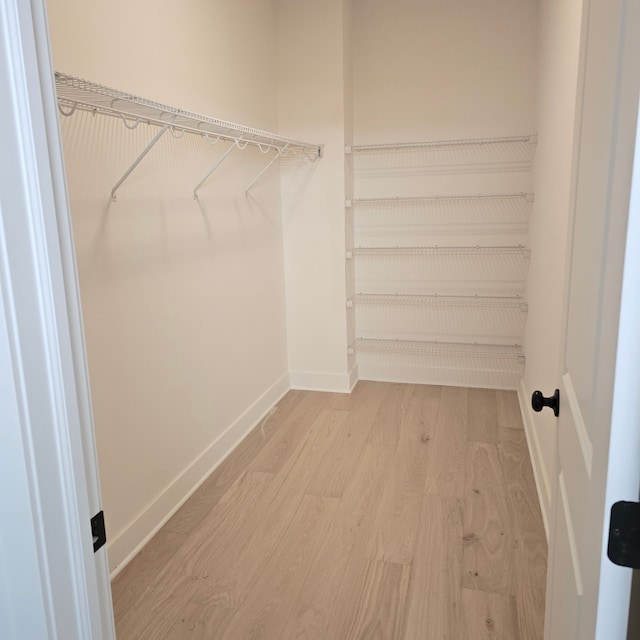 18468 Stallmann Dr, Macomb, MI 48042 - walk in closet with light wood finished floors
