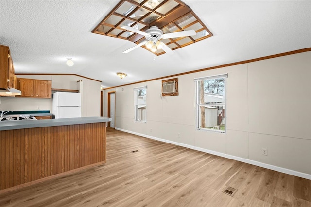 22600 Middlebelt Rd Lot F-28, Farmington Hills, MI 48336 - kitchen featuring freestanding refrigerator, light wood-style flooring, a ceiling fan, under cabinet range hood, and lofted ceiling