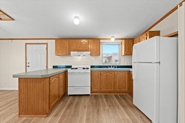 22600 Middlebelt Rd Lot F-28, Farmington Hills, MI 48336 - kitchen featuring light wood-style floors, white appliances, a peninsula, a textured ceiling, and under cabinet range hood