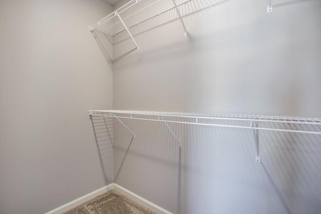 20836 Rolling Hills Ln, Big Rapids, MI 49307 - spacious closet featuring carpet floors