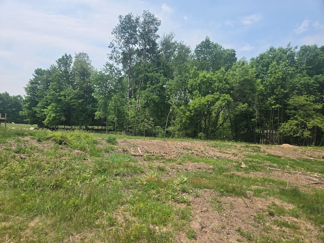 20836 Rolling Hills Ln, Big Rapids, MI 49307 - view of tree filled area