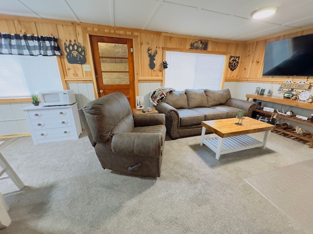 10953 Johnston Blvd, Saint Helen, MI 48656 - carpeted living area with wood walls