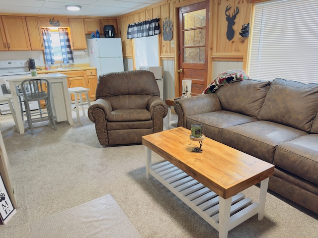 10953 Johnston Blvd, Saint Helen, MI 48656 - living area featuring light colored carpet