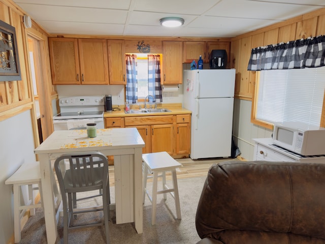10953 Johnston Blvd, Saint Helen, MI 48656 - kitchen with a sink, light countertops, and white appliances