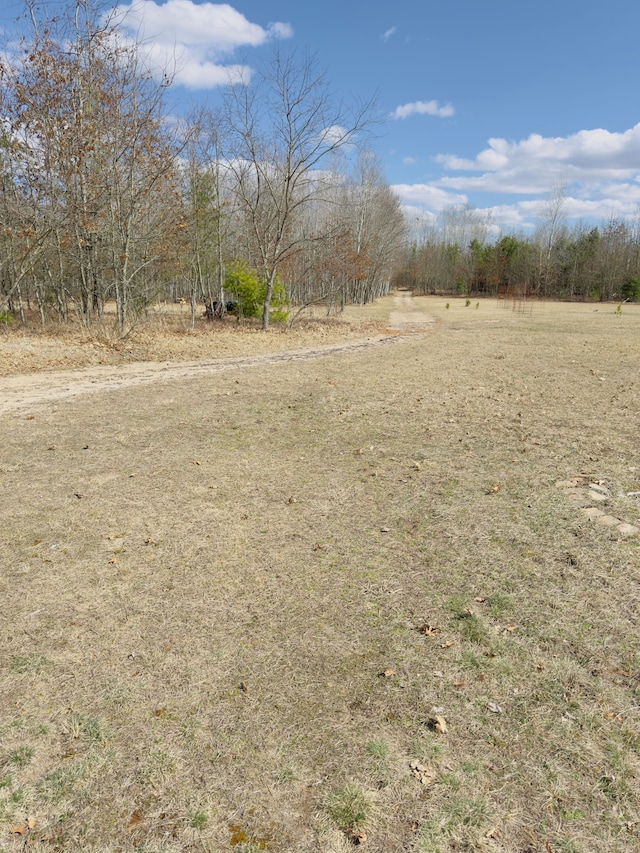 10953 Johnston Blvd, Saint Helen, MI 48656 - view of landscape featuring a rural view