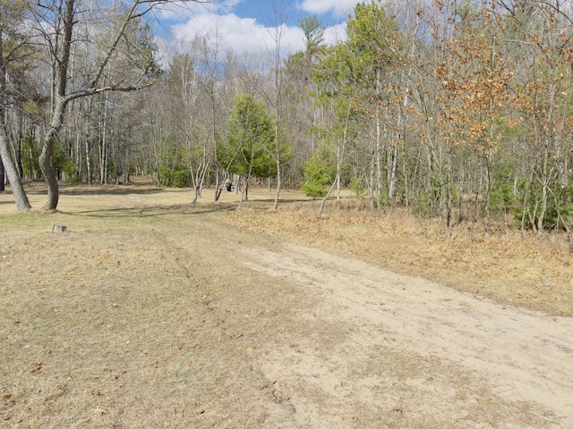 10953 Johnston Blvd, Saint Helen, MI 48656 - exterior space featuring a view of trees