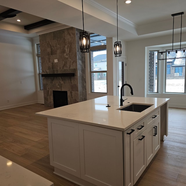 kitchen featuring ornamental molding, a healthy amount of sunlight, a sink, and wood finished floors