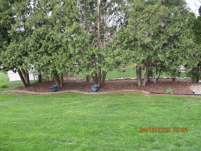 14879 Riverside St, Livonia, MI 48154 - view of yard