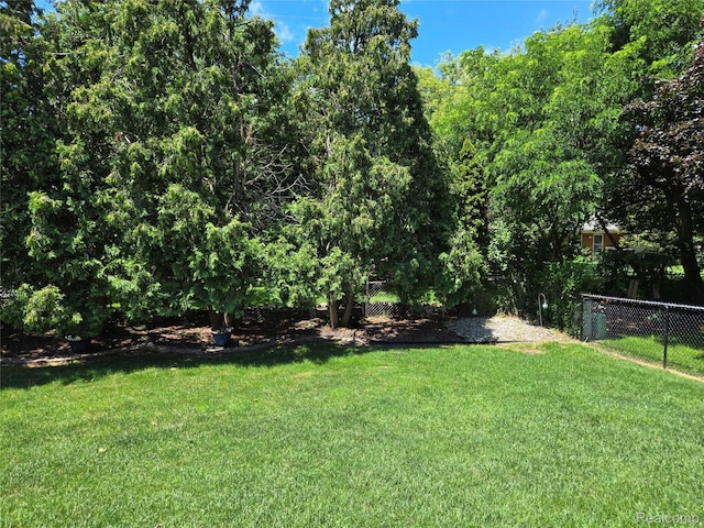 14879 Riverside St, Livonia, MI 48154 - view of yard