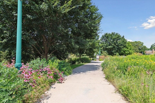 view of community