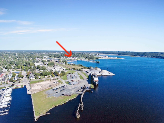 bird's eye view with a water view