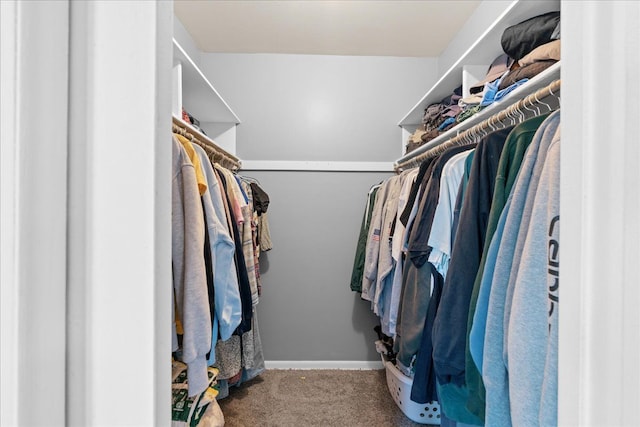 3715 W Hiawatha Dr, Okemos, MI 48864 - walk in closet with carpet floors