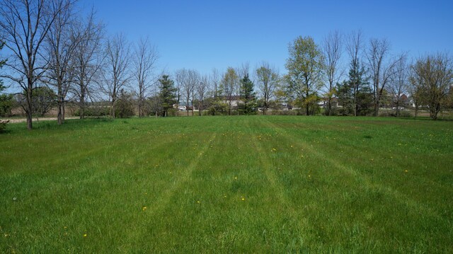 11340 Mccrone Rd, Milan, MI 48160 - view of yard