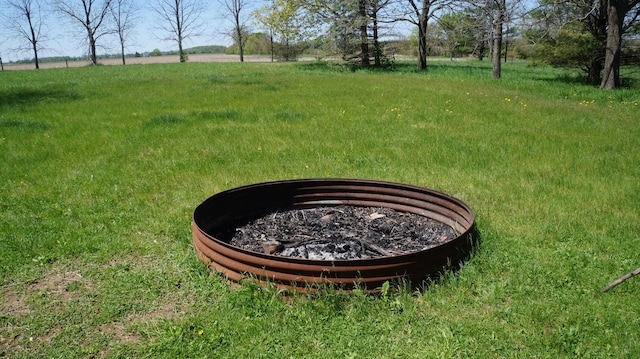 11340 Mccrone Rd, Milan, MI 48160 - view of yard