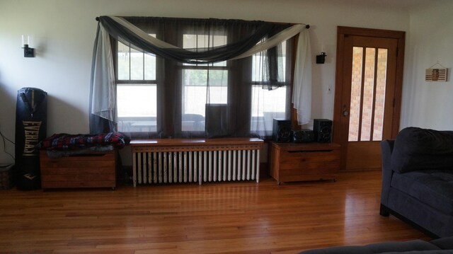 11340 Mccrone Rd, Milan, MI 48160 - living area with radiator heating unit, wood finished floors, and healthy amount of natural light