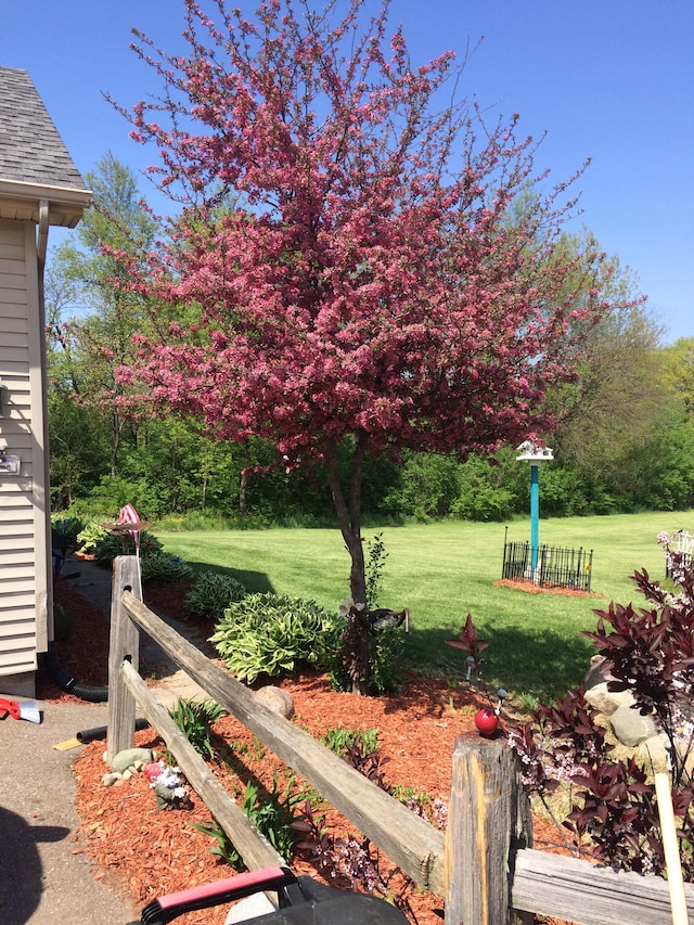 2515 N Lake Pleasant Rd, Attica, MI 48412 - view of green lawn