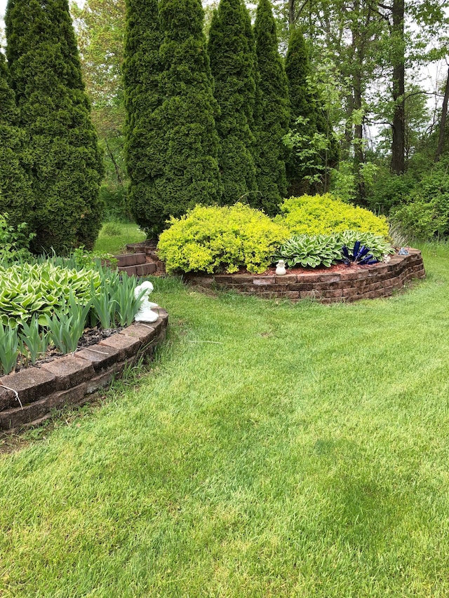 2515 N Lake Pleasant Rd, Attica, MI 48412 - view of green lawn