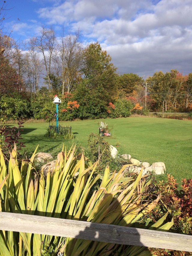 2515 N Lake Pleasant Rd, Attica, MI 48412 - view of property's community featuring a lawn