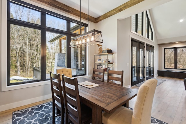 dining room featuring baseboards, wood finished floors, and a healthy amount of sunlight
