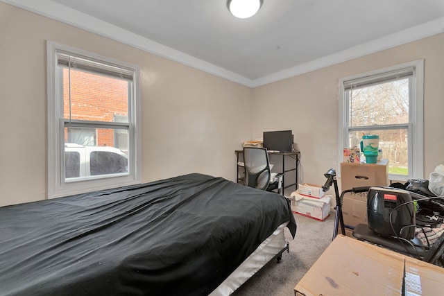 19544 Strasburg St, Detroit, MI 48205 - bedroom featuring crown molding and carpet flooring