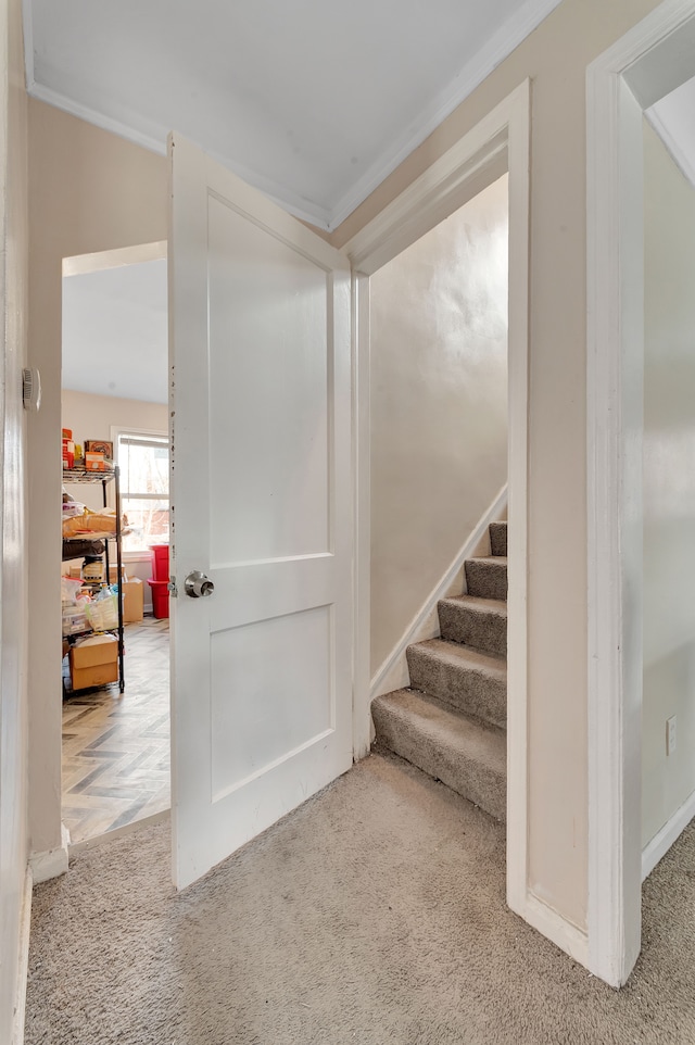19544 Strasburg St, Detroit, MI 48205 - staircase featuring ornamental molding and carpet