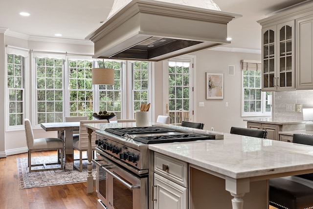 kitchen with crown molding, light stone countertops, wood finished floors, decorative backsplash, and stainless steel range