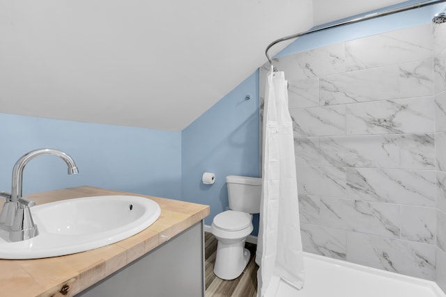 2533 Virginia Park St, Detroit, MI 48206 - bathroom featuring toilet, curtained shower, and vanity