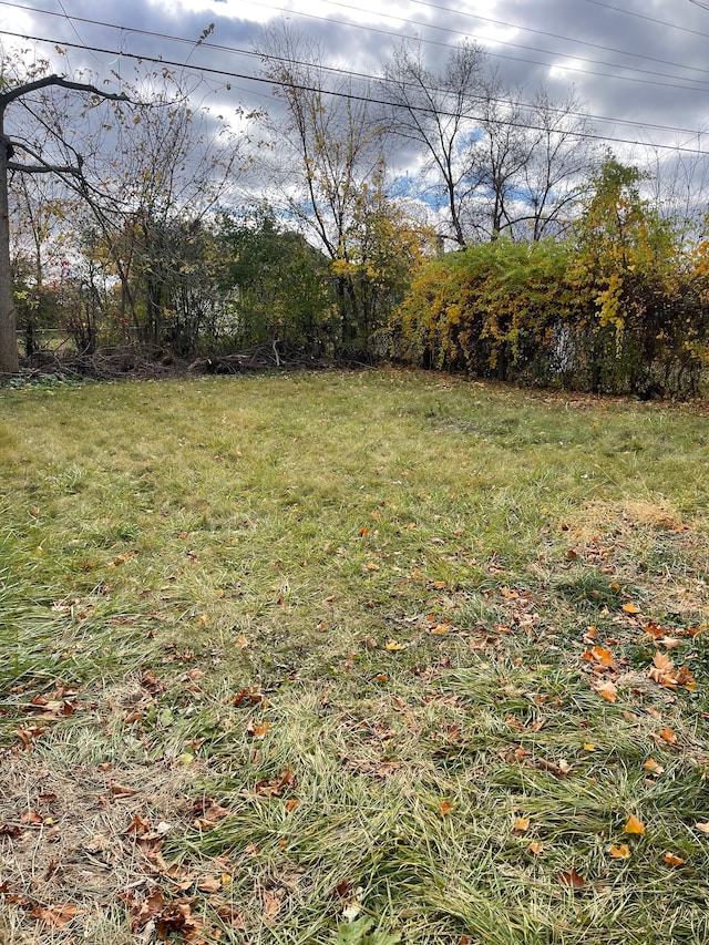 305 S Blvd W, Pontiac, MI 48341 - view of grassy yard