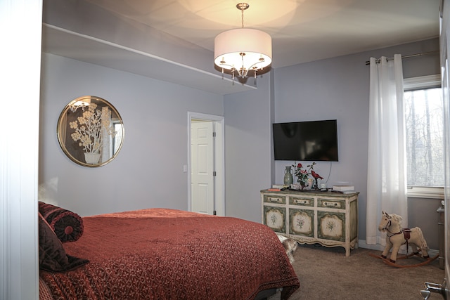 carpeted bedroom with multiple windows