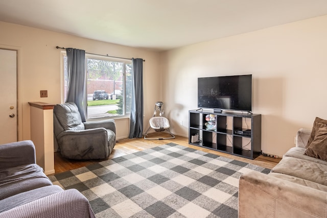 living area featuring wood finished floors