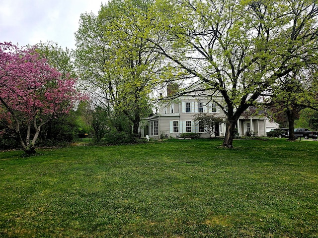 view of green lawn