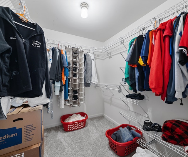 walk in closet featuring carpet flooring