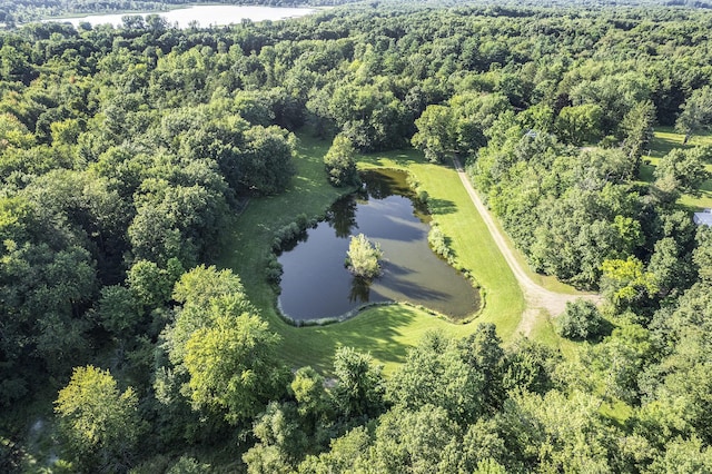 7091 Ann Arbor Rd, Jackson, MI 49201 - photo 4