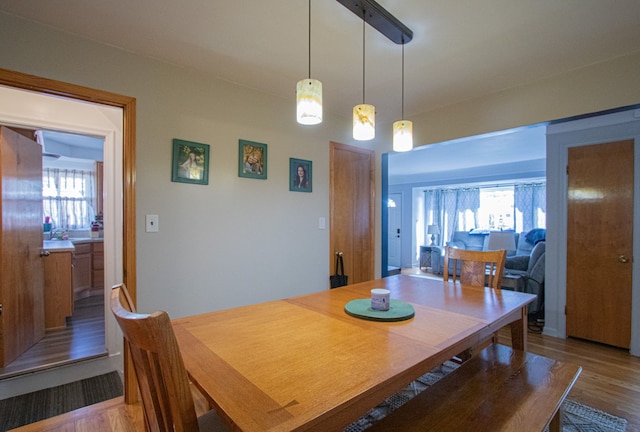 dining room with wood finished floors