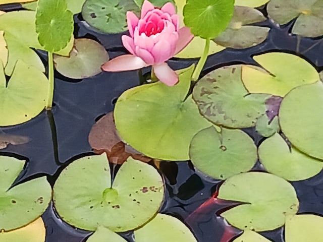 view of details