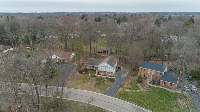 drone / aerial view