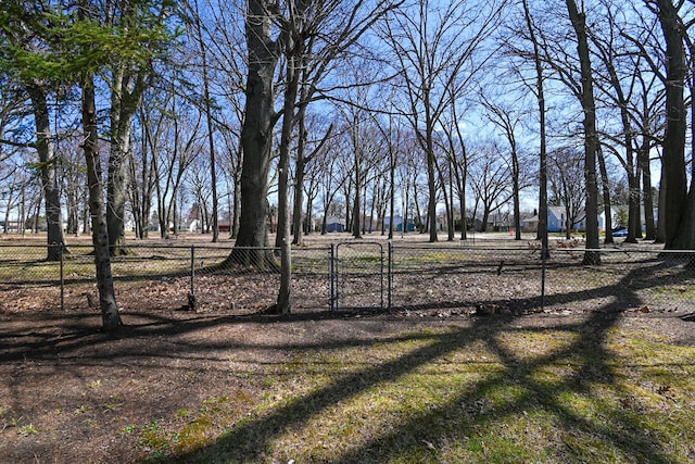 view of yard with fence and a gate
