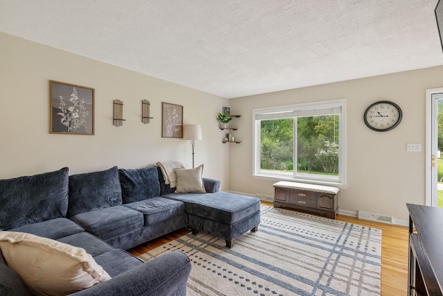 4738 Goodale Ave, Clarkston, MI 48348 - living area with light wood-style floors and a textured ceiling